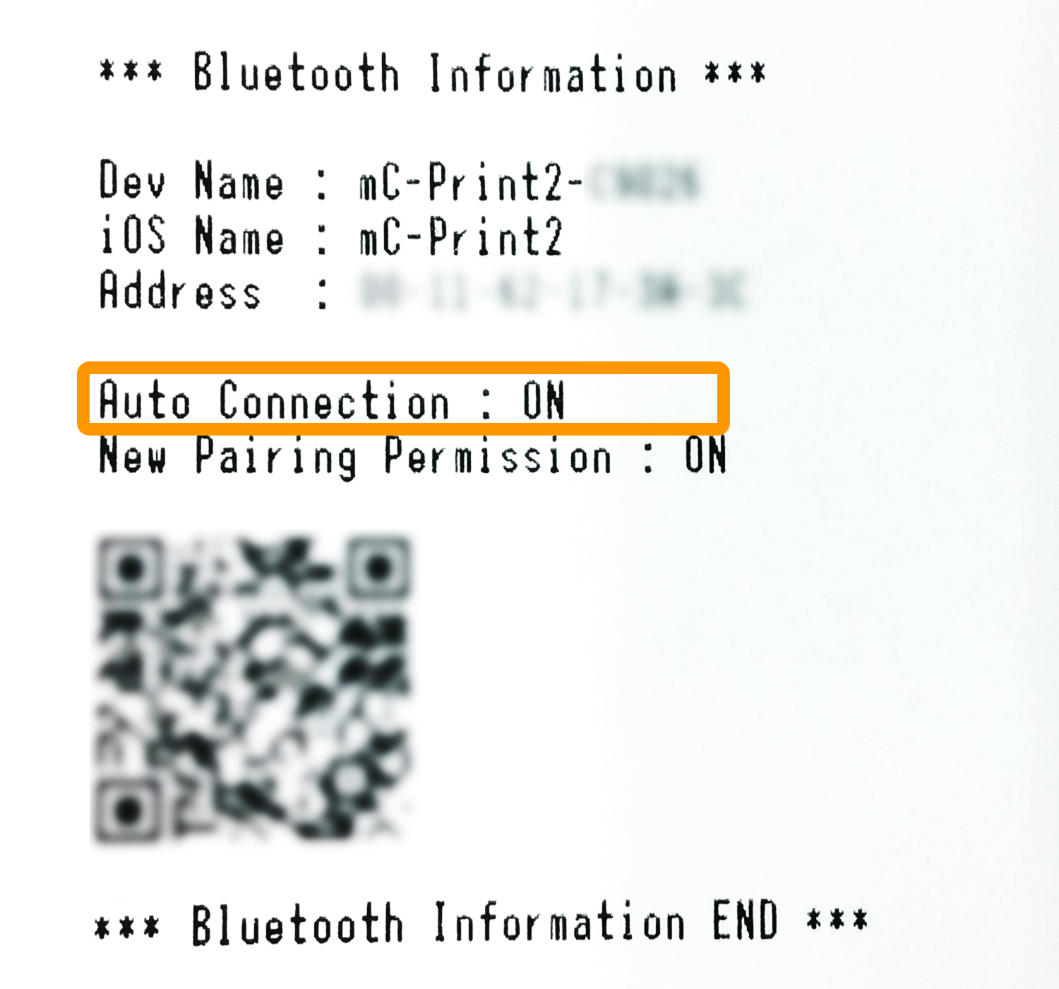 mC-Print2プリンター Bluetooth Information 印字内容